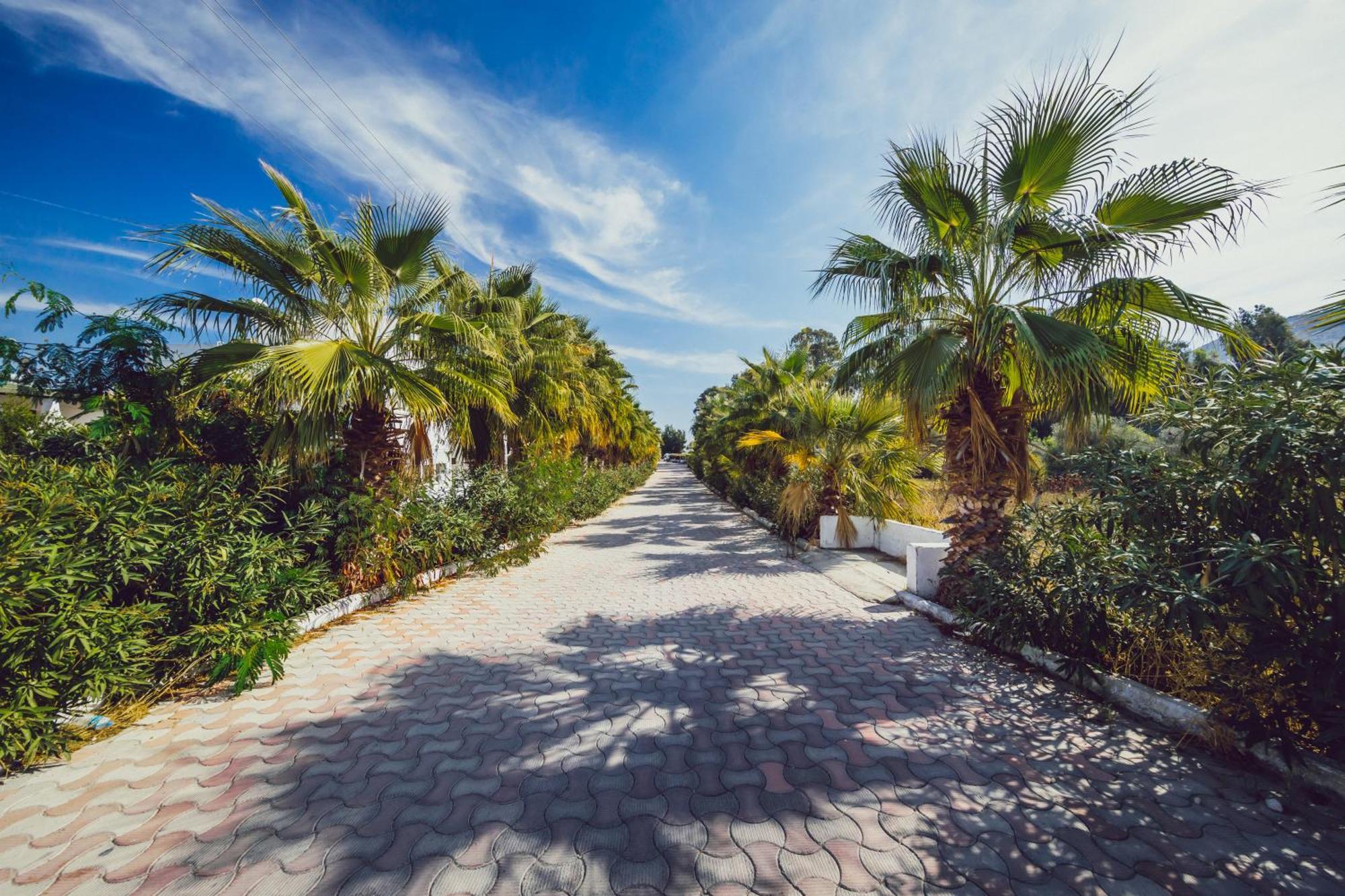 Mare Garden Hotel Akyarlar Zewnętrze zdjęcie